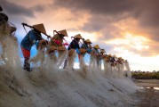 種地免費游戲，開啟你的農業夢想之旅，種地大富翁，啟動你的農田冒險之旅，免費享受農業的樂趣