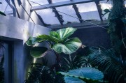 蘋果版的免費生存類游戲，探索、建造與生存，打造屬于你自己的蘋果版生存世界，一款豐富的探索與建造類游戲