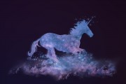 夢中的星光璀璨——與電影明星的奇妙邂逅，夢中的星光璀璨，與電影明星的奇妙邂逅