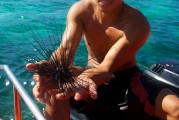 夢到捉魚的奇幻之旅，夢中的捉魚奇幻之旅