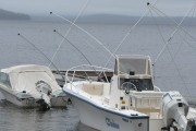 海峽釣魚論壇注冊指南，輕松入門，暢享釣魚樂趣，海峽釣魚論壇注冊攻略，新手快速上手，體驗釣魚之樂