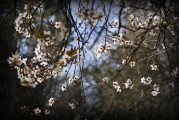 周公解夢之夢到刮大風(fēng)，周公解夢，夢到刮大風(fēng)的含義