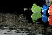 夢魘之河，在臟水中的游泳之旅