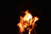 夢(mèng)中的虎影，一次與猛虎的較量，夢(mèng)中的虎影，一次與猛虎的較量