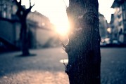 夢(mèng)中的破碎之光——燈泡碎了的寓意與解讀，夢(mèng)中的破碎之光，燈泡碎了的深層寓意與解讀