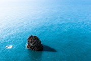 夢中重逢，舊時同事的回憶，夢中重逢，舊時同事的回憶之夢