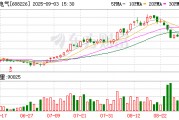 威騰電氣9月3日大宗交易成交4950.00萬元
