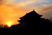 夢回紫禁城——故宮之夢的探索，夢回紫禁城，故宮歷史與文化探索之旅