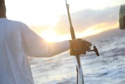 夢游深海，與巨魚共舞，夢游深海，共舞巨魚之旅