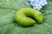 綠色先鋒，守護碧水藍天—環保新聞聚焦，碧水藍天守護者，綠色先鋒環保紀實