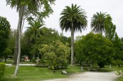 官方網(wǎng)站花架搭建指南，打造視覺盛宴的綠色空間，打造綠色視覺盛宴，官方網(wǎng)站花架搭建全攻略，官方網(wǎng)站綠色花架搭建全攻略，打造視覺盛宴的綠意空間