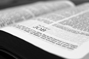 商標注冊攻略，如何順利完成商標注冊流程，一站式商標注冊指南，輕松掌握注冊流程