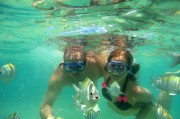 夢到逮魚的奇妙之旅，夢中的逮魚奇妙之旅