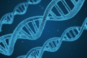 科倫藥業(002422)：主業穩健 合成生物新品、創新藥多輪驅動增長