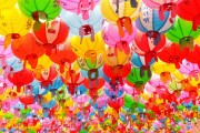 夢境中的老鼠狂歡，夢境中的老鼠狂歡之旅
