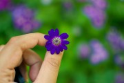 芭比打扮游戲免費下載，讓小女孩過上精致的生活，芭比打扮游戲
