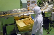 唐山市豐潤區欣陽紙業加工廠（個體工商戶）成立 注冊資本100萬人民幣