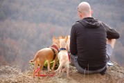 孕婦夢到野雞，是否為胎夢的探索之旅，孕婦夢到野雞，胎夢的探索之旅