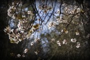 周公解夢(mèng)之夢(mèng)到下大雪的寓意與解讀，周公解夢(mèng)，夢(mèng)到下大雪的寓意與解讀