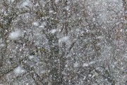 雪舞夢(mèng)境——我的夢(mèng)中雪景，雪舞夢(mèng)境，我的夢(mèng)中雪景的詩意之旅