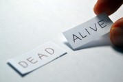 定制網站搭建價格揭秘，如何根據需求選擇合適的價格方案，揭秘定制網站搭建成本，如何匹配需求與價格策略