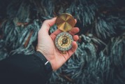 夢中的白發生長，一次關于時間、衰老與自我認知的探索，夢中的白發生長，時間、衰老與自我認知的探索