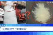 “羽絨騙局”曝光：兒童羽絨服也造假，檢測報告成本一兩元錢