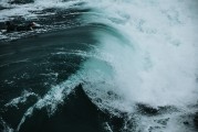 夢中的蛇海——一次神秘的心理探險，夢中的蛇海，一次神秘的心理探險之旅