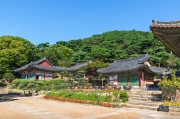 夢中的攀爬之旅，夢中的攀爬之旅之旅