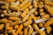 如何應(yīng)對(duì)期貨回撤問(wèn)題？有哪些有效策略？