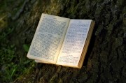 夢(mèng)到書，一場(chǎng)心靈與知識(shí)的奇妙旅程，夢(mèng)中的書，心靈與知識(shí)的奇妙旅程
