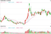 萬安科技擬1.33億元溢價收購關聯企業 標的公司年內虧損約2676萬元