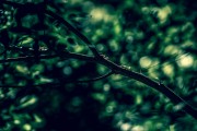 夢中的啟示，夢到什么會懷孕？，夢中的啟示，解析夢中預示懷孕的象征意義