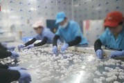 查封！關停！各地多部門連夜查處3·15曝光問題