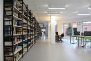 中寧企業網站搭建，助力企業數字化轉型，拓展線上市場新空間，中寧企業數字化轉型新篇章，網站搭建助力線上市場拓展，中寧企業數字化轉型，網站搭建開啟線上市場新紀元
