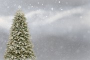 桌面圣誕樹插件網站，點亮冬日溫馨，增添節日氣氛