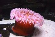 夢(mèng)到抓魚，豐收與希望的象征，夢(mèng)到抓魚，豐收與希望的象征