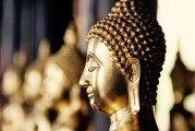 自由冷鋒游戲的神秘面紗——探秘其背后的游戲內(nèi)涵與魅力，自由冷鋒，揭示隱藏在游戲背后的深度內(nèi)涵與魅力