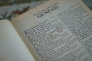 輕松入門，教你如何在論壇注冊賬號，論壇新手指南，輕松注冊賬號全攻略