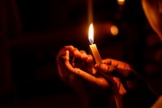燃燒的生命——螢火蟲（寓言故事），螢火蟲的奧秘