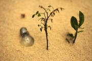輕盈的夏日午后——輕松享受薄荷游戲免費(fèi)，輕松享受，夏季薄荷游戲——只用一包薄荷