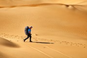 夢中的書香之旅，夢中的書香之旅，探索知識的奇幻之旅