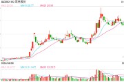 機(jī)器人概念連續(xù)反彈，科創(chuàng)50指數(shù)半日漲0.45%