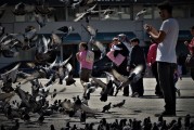 夢(mèng)中的驚魂時(shí)刻——一次車禍的夢(mèng)境之旅，夢(mèng)中的驚魂時(shí)刻，車禍夢(mèng)境的探索之旅