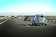 賽車之夢，速度與激情的交織，賽車之夢，速度與激情的交織