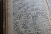 揭秘花源注冊，一站式服務平臺背后的故事，花源注冊，一站式服務平臺背后的傳奇歷程