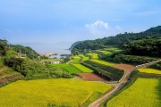 湘西網站流量，助力鄉村振興的數字引擎