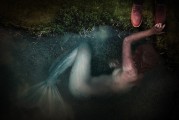 野貓之夢，神秘、自由的象征，野貓之夢，神秘自由的象征