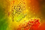 體驗(yàn)無限可能的戶外游戲，免費(fèi)游戲的無限可能，挑戰(zhàn)極限，自由游戲——您的戶外冒險(xiǎn)樂趣新起點(diǎn)