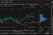 路通視信資金占用形成的關(guān)聯(lián)交易，投資者可索賠！